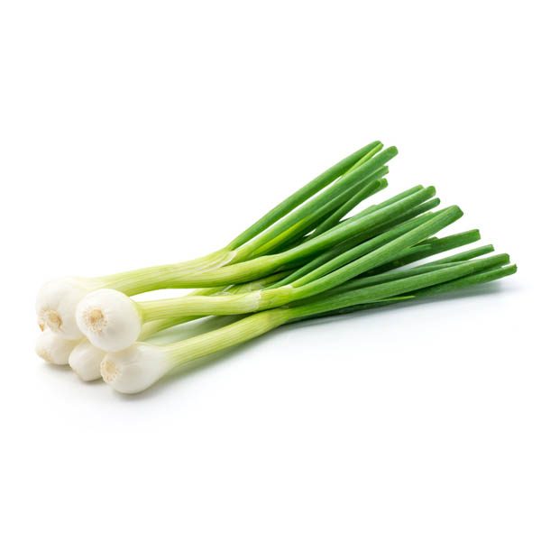 Cebollita de Verdeo x Atado