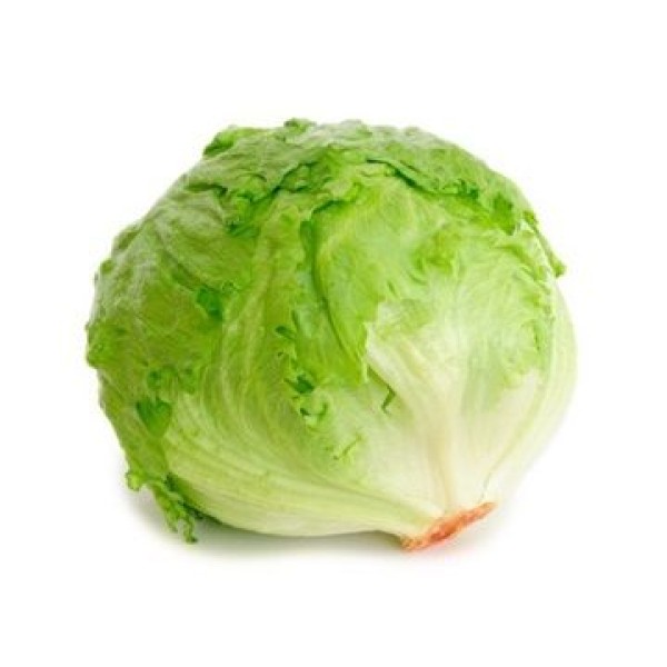 Lechuga Capuchina