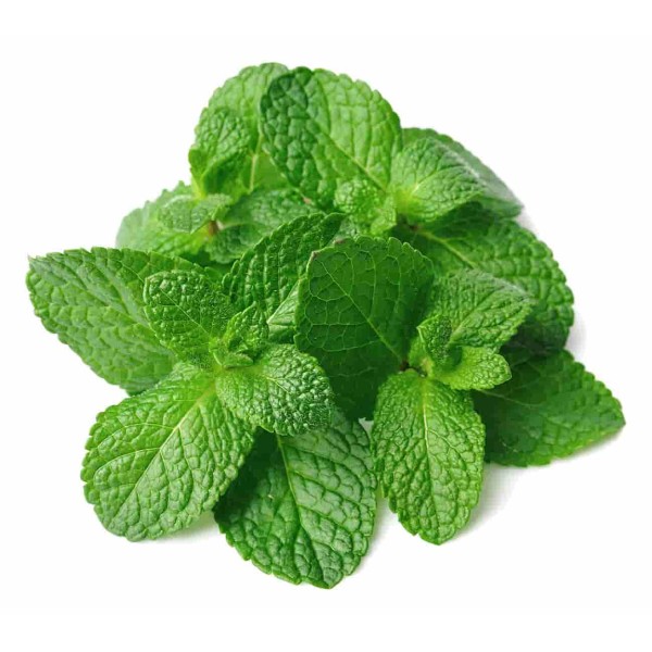 Menta x paquete