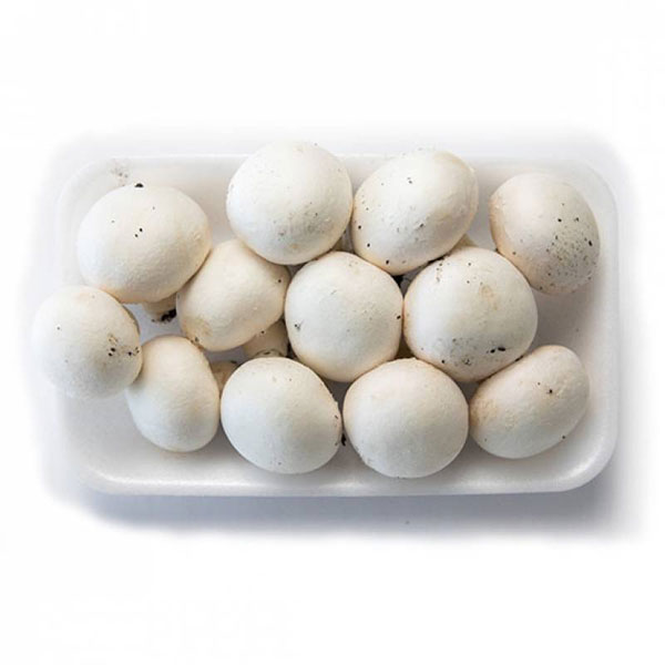 Champignon Bandeja x 200gr