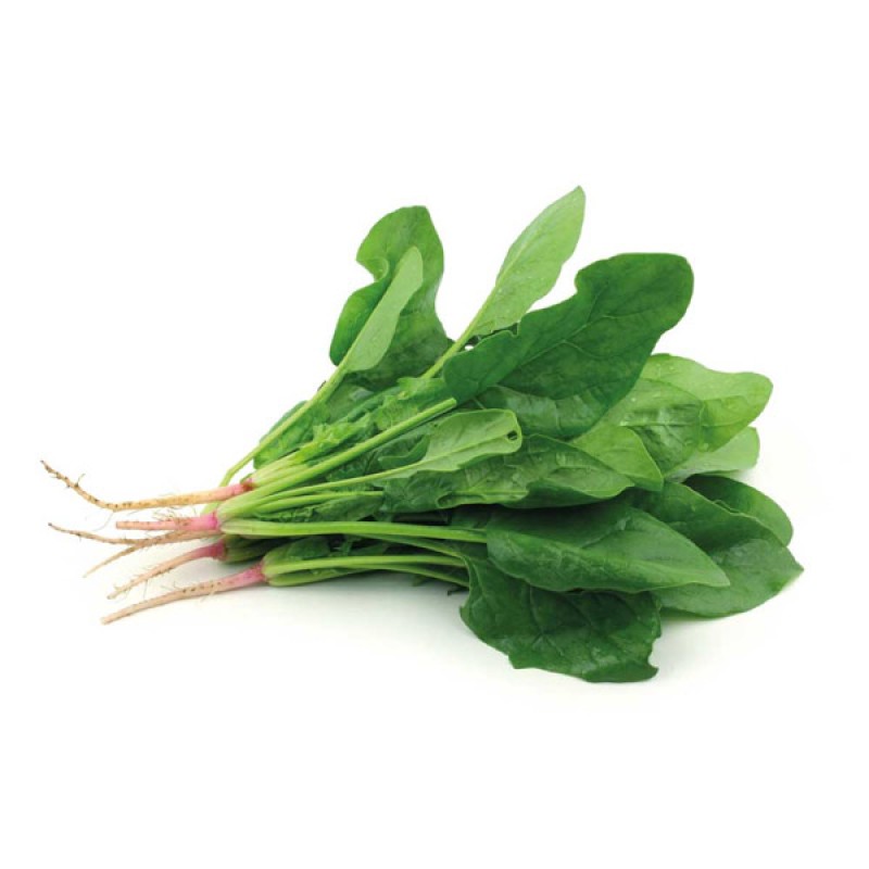 Espinaca x Atado Espinaca x Atado